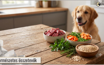 Természetes kutyatáp összetevők: Mit ne egyen a kutya?